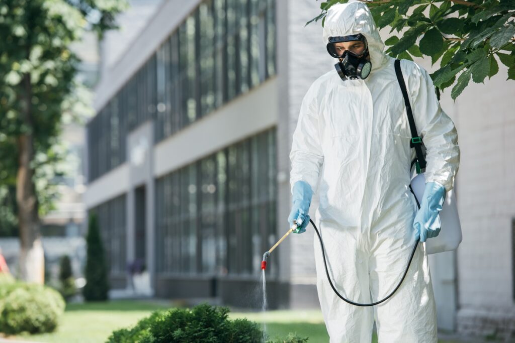 Professional pest control Ottawa