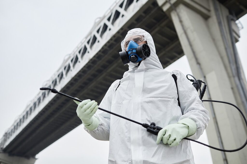 Best pest control services in Toronto 2025