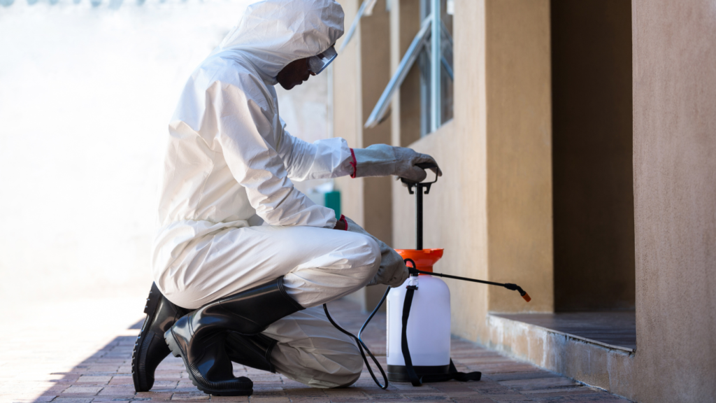 Best Pest Control Services in Greater Toronto Area