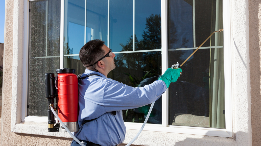 Pest control services Milton