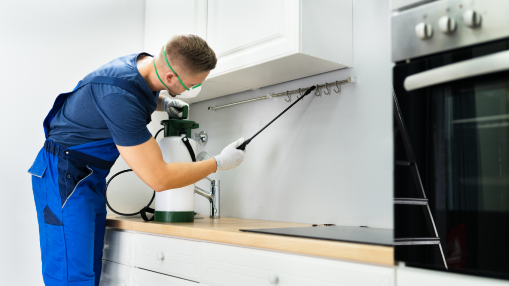 Best Bed bug removal Canada