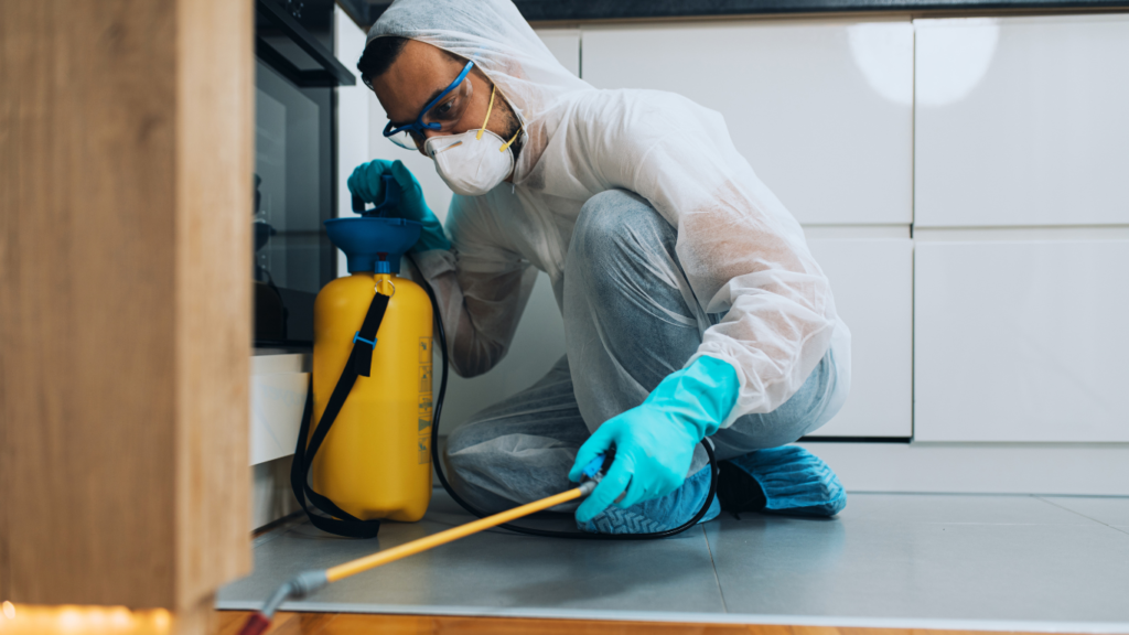 Best pest control Canada