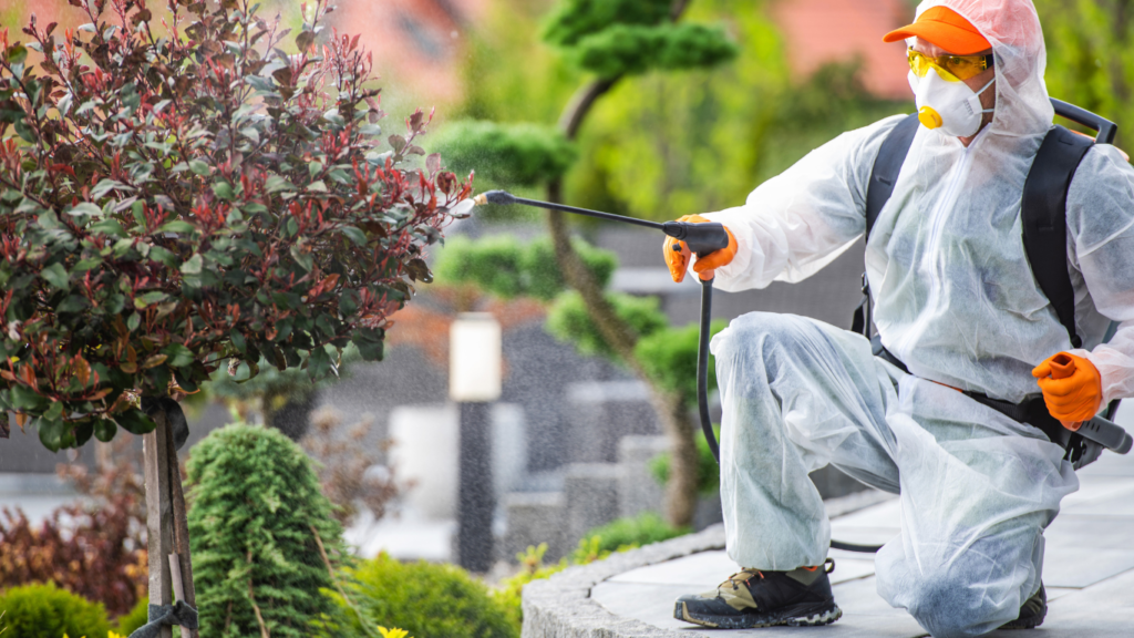 Best pest exterminators Hamilton