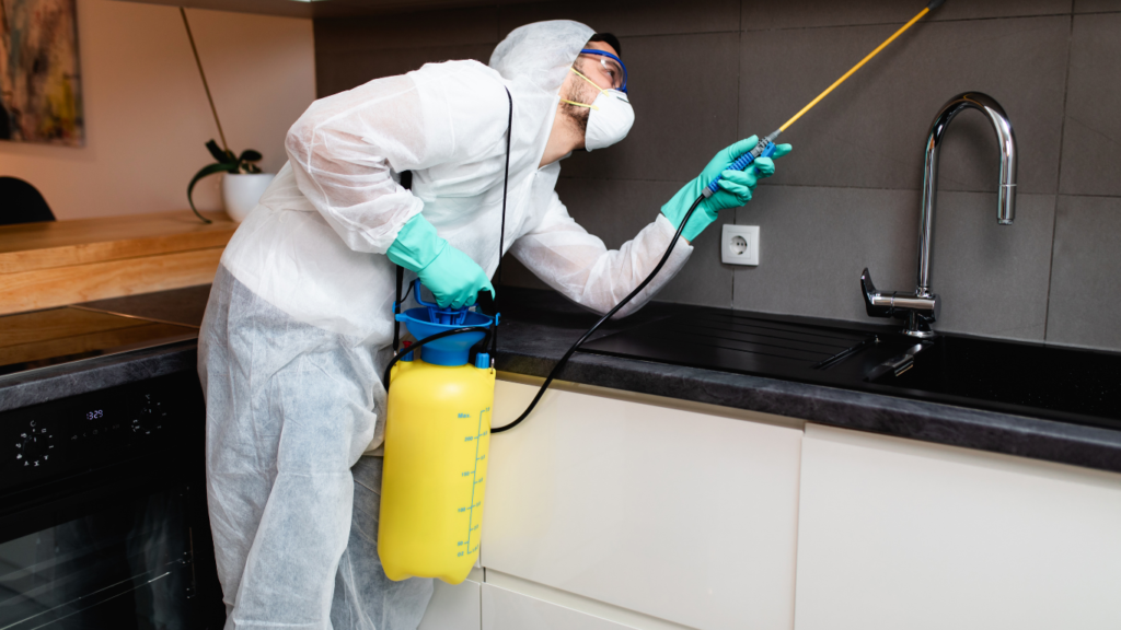 24/7 pest control Toronto