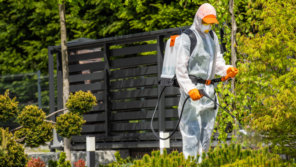 Pest control Niagara Falls