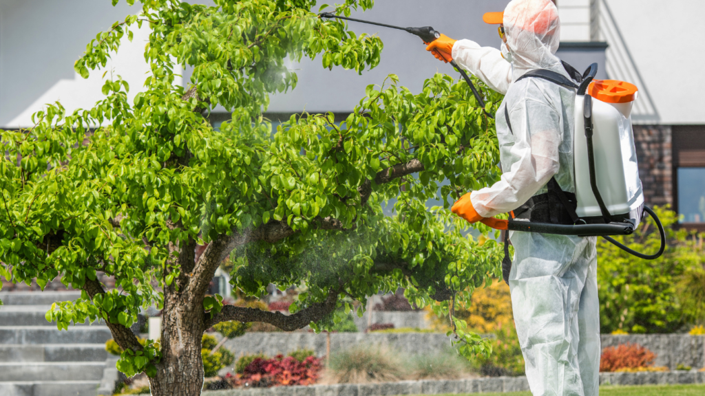 Pest control services Pickering
