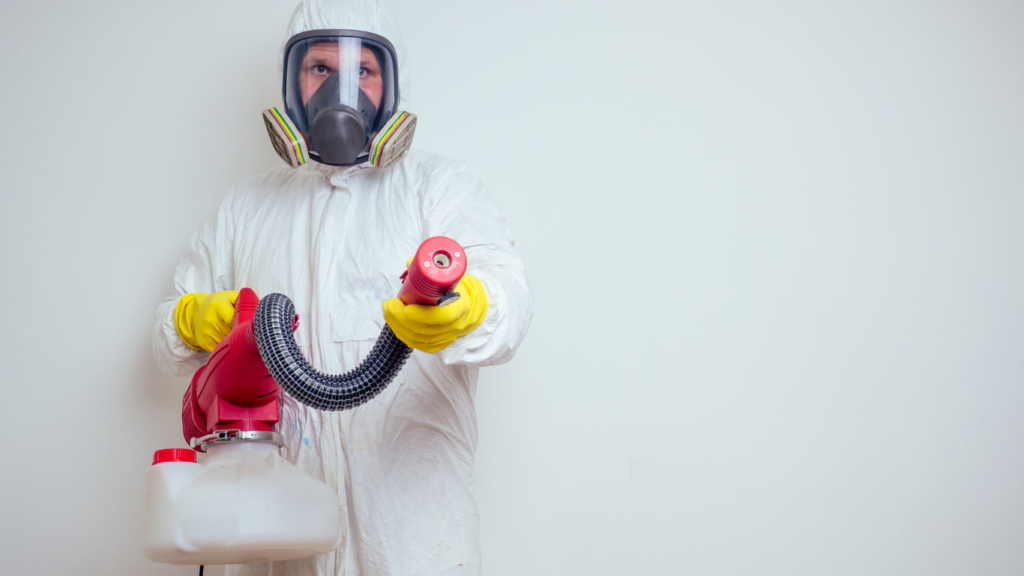 Pest control services Milton