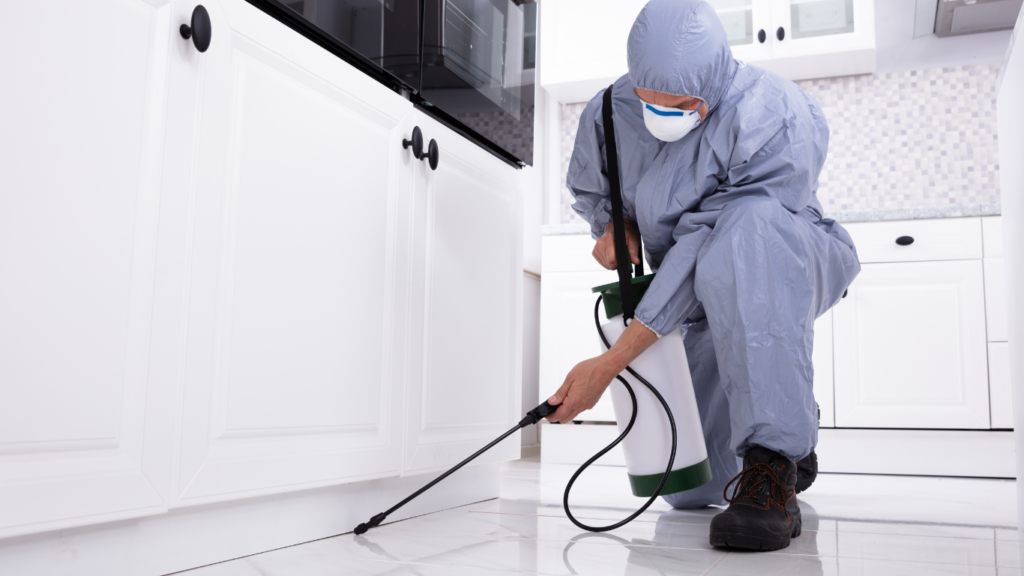 Pest control Whitchurch-Stouffville
